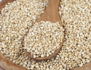 Quinoa