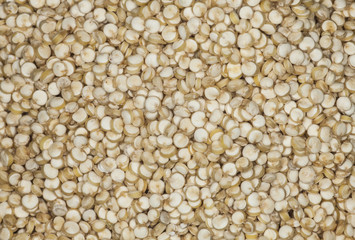 Quinoa