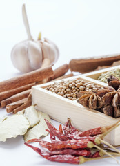 Fototapeta na wymiar white wooden frame collection of spices