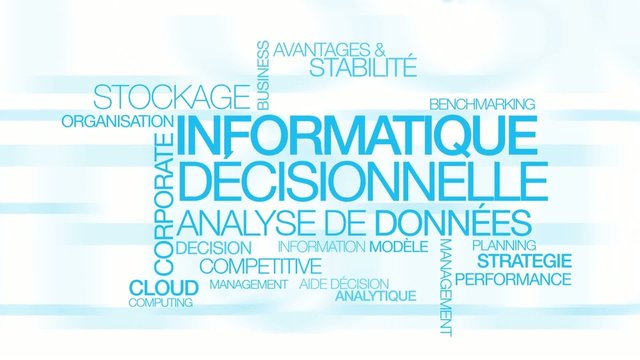 Informatique d&eacute;cisionnelle Business Intelligence nuage de mots