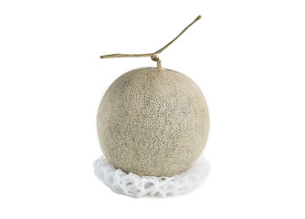 Net foam  wrap Melon on white background