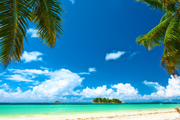 Beautiful beach with palm tree at Seychelles