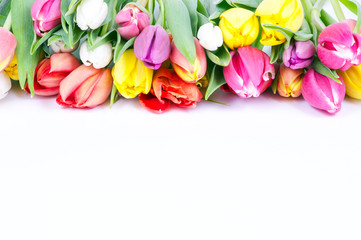 Bunte Tulpen