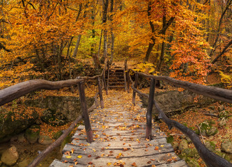 Bridge in autumn forest. Autumn landscape