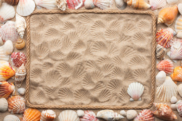 Beautiful frame of rope and sea shells on the sand