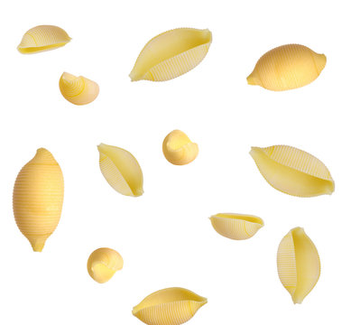 Assorted pasta, shells