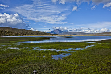 Fototapeta na wymiar Lagoon, moorland and mountains in the Cotopaxi National Park