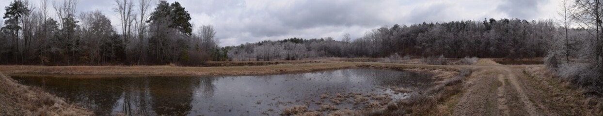 Winter at the University of Mississippi Field Station
