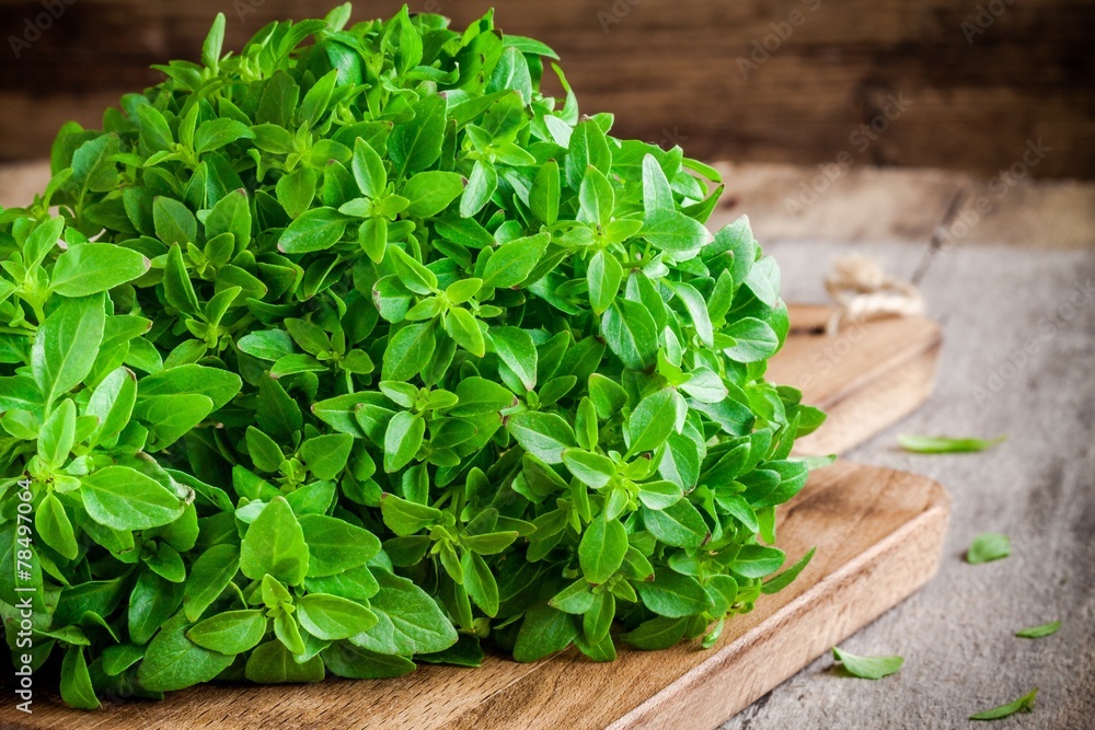 Wall mural bunch of fresh raw organic basil on a cutting board