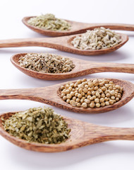 parsley, coriander seed, dill seed, dry lavender and rosemary