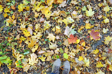 Old battered shoes on the leaves covered ground