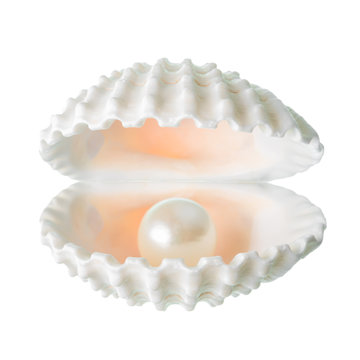 open beautiful soft white cockleshell with pearl is isolated on