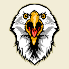 Obraz premium eagle head