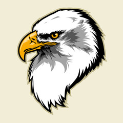 Fototapeta premium eagle head
