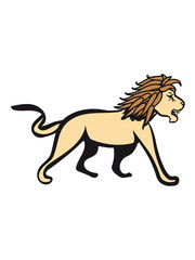 Lion proud king africa