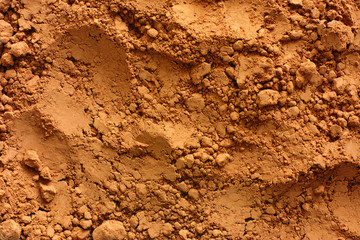 Cocoa powder background
