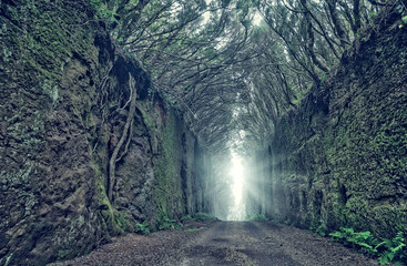 Tunnel