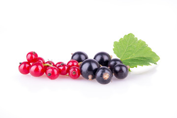 red currant and black currant on a white background