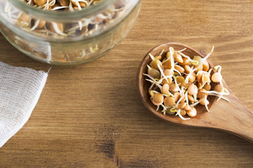 Lentil Sprouts in Wooden Spoon