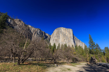 EI Captain view, Yosemite National Park, California, USA