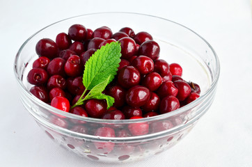 Cherries and Lemon balm leaf 7