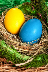 Obraz na płótnie Canvas Colored Easter eggs in a nest