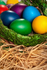 Fototapeta na wymiar Colored Easter eggs in a green basket