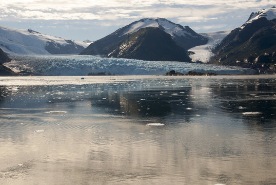 Chile - Amalia Glacier - Skua Glacier
