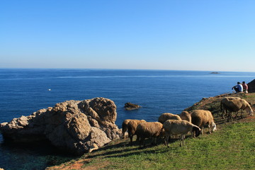 Littoral Algérois (El Marsa, Ex Jean Bart)