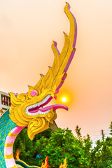 Fototapeta premium stucco serpent