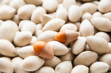 Ginkgo biloba seed in Thai food market, Ginkgo seeds background