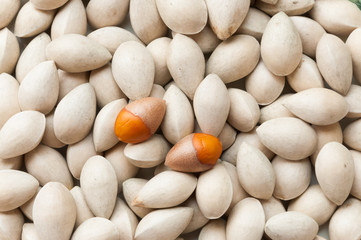 Ginkgo biloba seed in Thai food market, Ginkgo seeds background