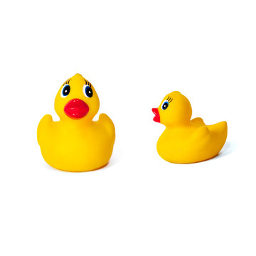 two rubber ducks
