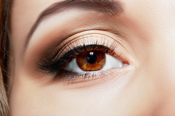 Fototapeta premium macro eye