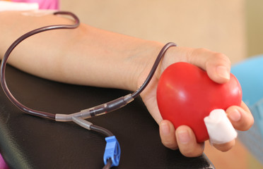 Volunteer young man donor blood close-up shot Several people choose to hold a red heart-shaped ball in the donor's blood in a hospital to help a human being..