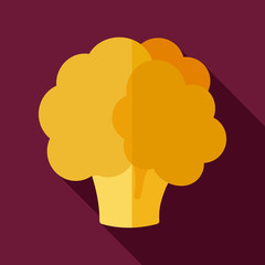 Cauliflower flat icon with long shadow