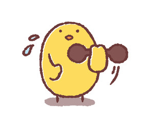 トレーニングするヒヨコ