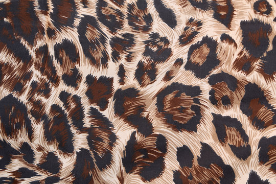 abstract with leopard texture