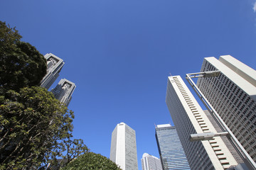 Obraz premium 雲のない快晴なビル郡