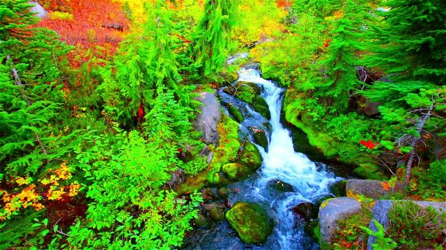 Waterfall in Glacier Park,Montana