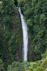 cascade et forêt tropicale - Costa Rica