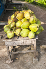 life in the Indian village