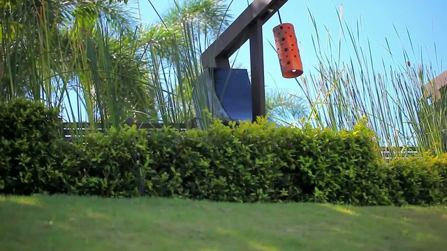 Row of Japanese lantern on sky, palm and grass background. Video