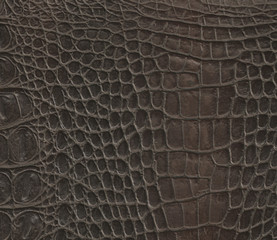 leather background