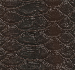 leather background
