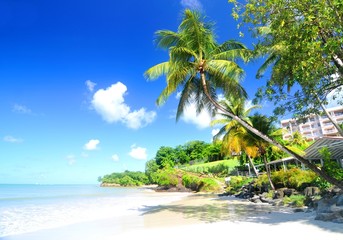 Naklejka na ściany i meble Landscape with blue sky and ocean in Caribbean