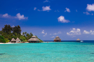 Water bungalow and palms behind lagoon