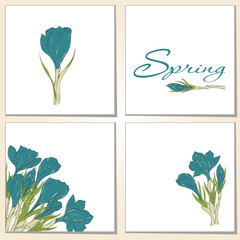 Cards with crocus spring flowers