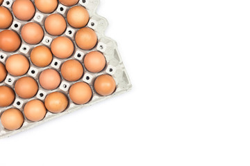 Eggs in paper tray