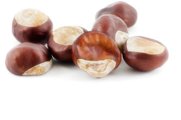 Frucht bzw. Samen der Gewöhnlichen Rosskastanie